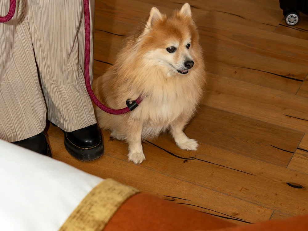 GRETI in Bad Hofgastein: dein alpines Boutique Hotel