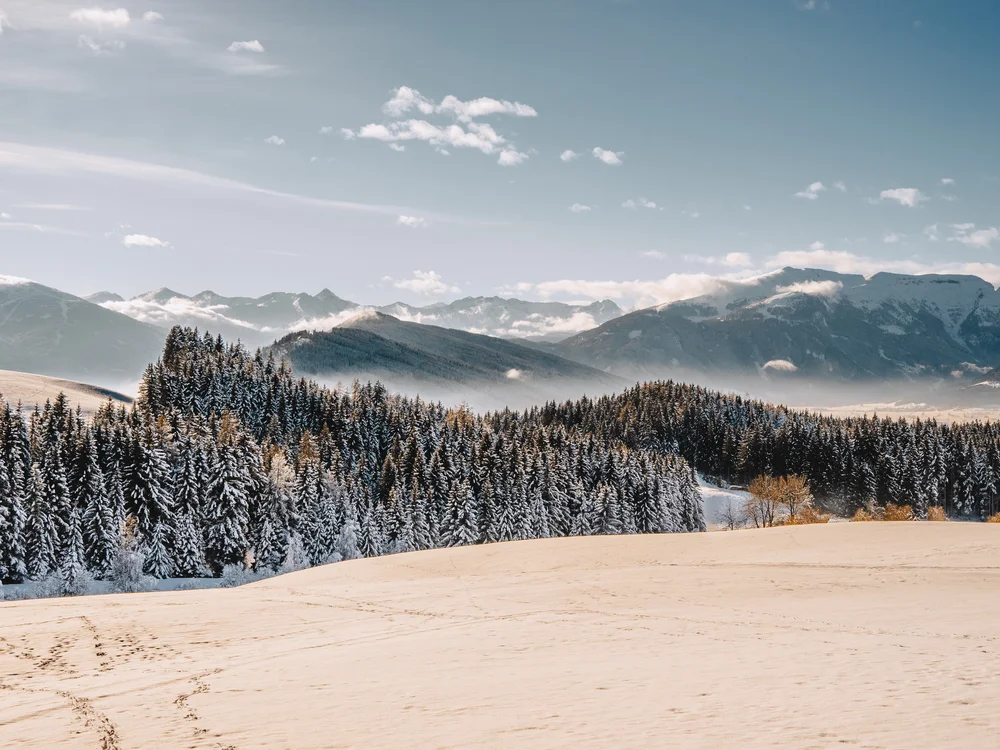 GRETI in Bad Hofgastein: dein alpines Boutique Hotel Verschneite Wiese vor einem schneebedeckten Nadelwald und Bergen